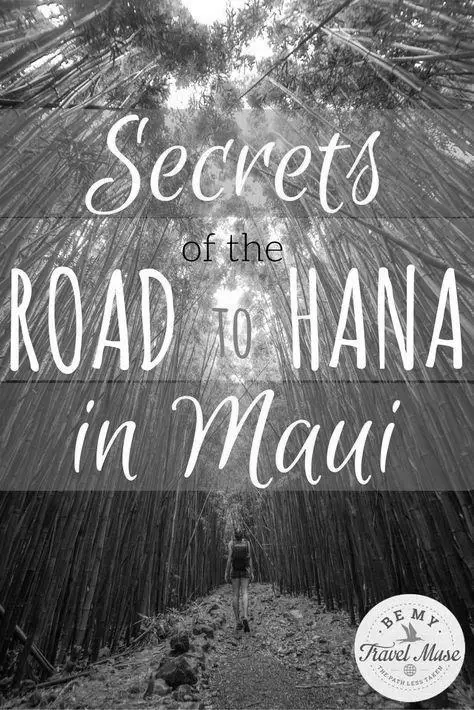 Insider Tips When Touring the Road to Hana image 0