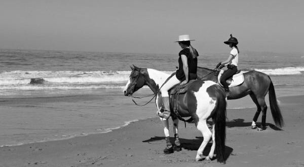 How to Introduce Your Horse to the Beach photo 0