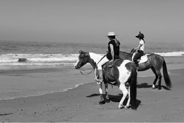 How to Introduce Your Horse to the Beach photo 0