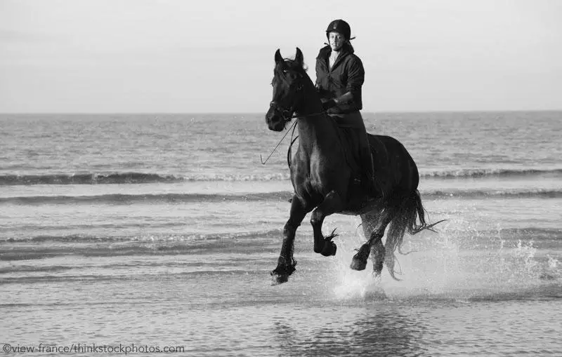 How to Introduce Your Horse to the Beach photo 2