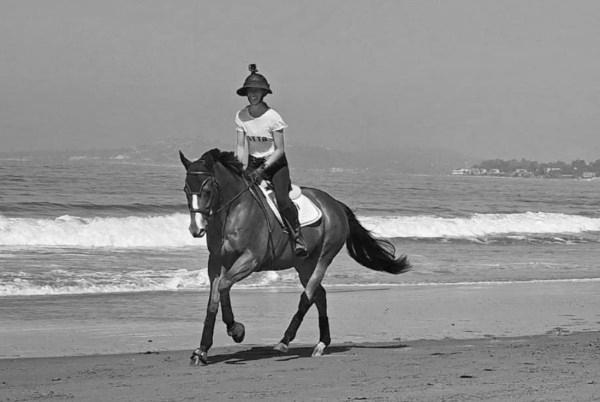 How to Introduce Your Horse to the Beach photo 3