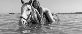 Swimming Or Horseback Riding Which Do You Prefer? photo 0