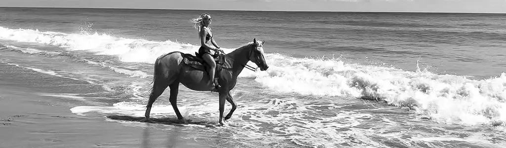 Horse Back Riding on a Beach photo 0