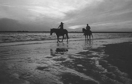 Horse Back Riding on a Beach photo 1