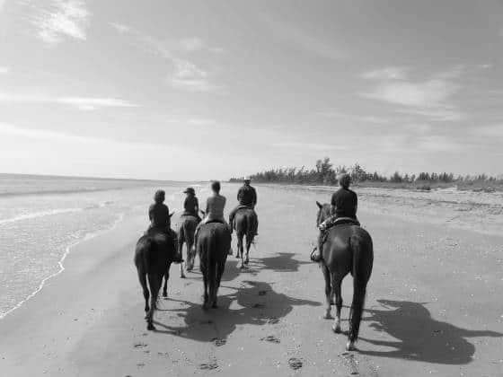 Horse Back Riding on a Beach photo 2