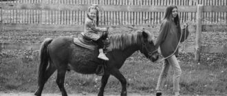 Is it Safe For My 3year-Old to Introduce Horse Riding? image 0