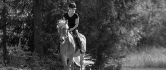 How Hard is Riding a Horse? image 0