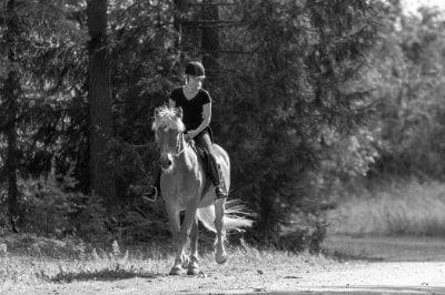 How Hard is Riding a Horse? image 0