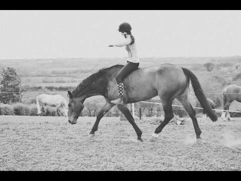 How to Ride a Horse Without Any Tack image 0