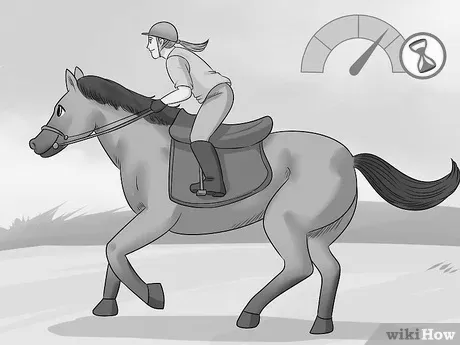 How to Ride a Horse at Full Gallop image 0