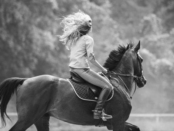 Is Horseback Riding Bad For Horses? image 0