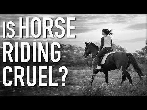 Is Horse Riding Cruel? image 0