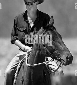 Prince Harry and His Horse Guardsman photo 0