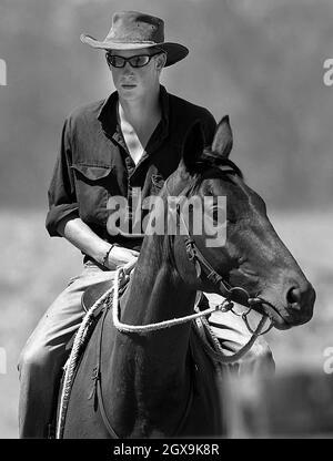 Prince Harry and His Horse Guardsman photo 0