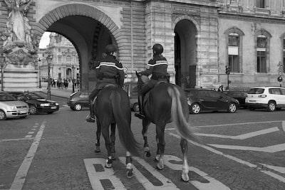 Is it Legal to Ride a Horse in the City? photo 0