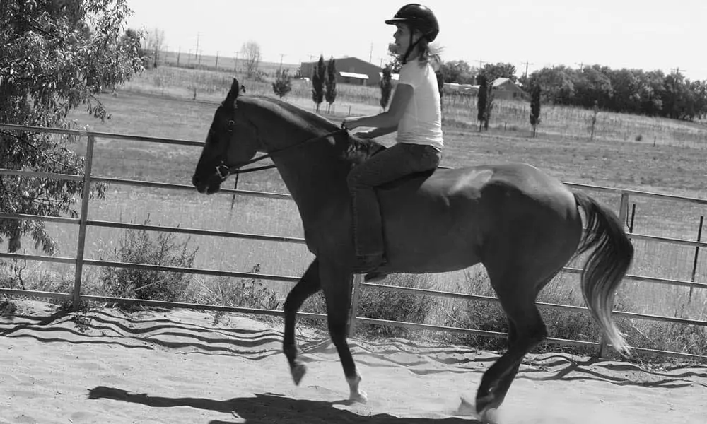 What Are the Benefits of Bareback Horse Riding? photo 0