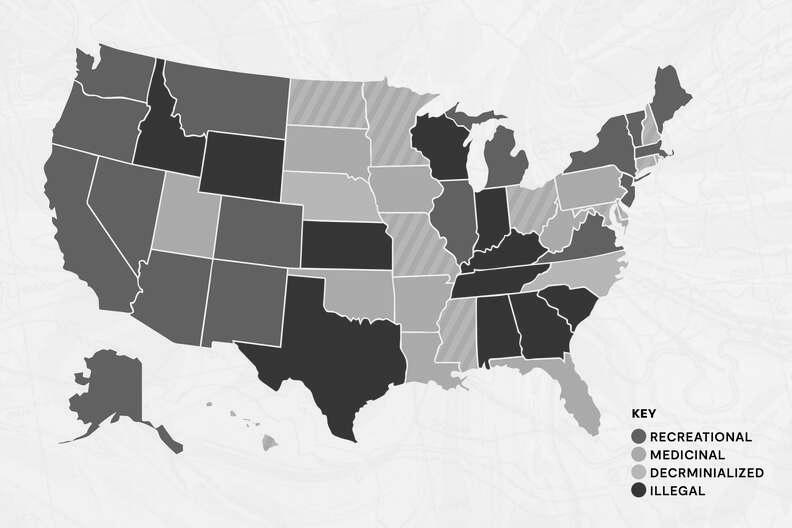 Which US State Has The Most Horses Addingtonequestrian