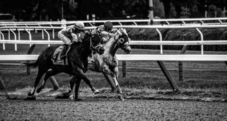 What Is Fastest Speed Achieved By Horse Addingtonequestrian