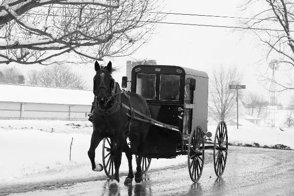 What is That Average Speed of a Horse Drawn Wagon? photo 0